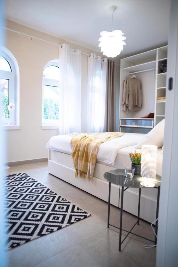 Todor Boutique House Villa Sremska Kamenica Exterior photo