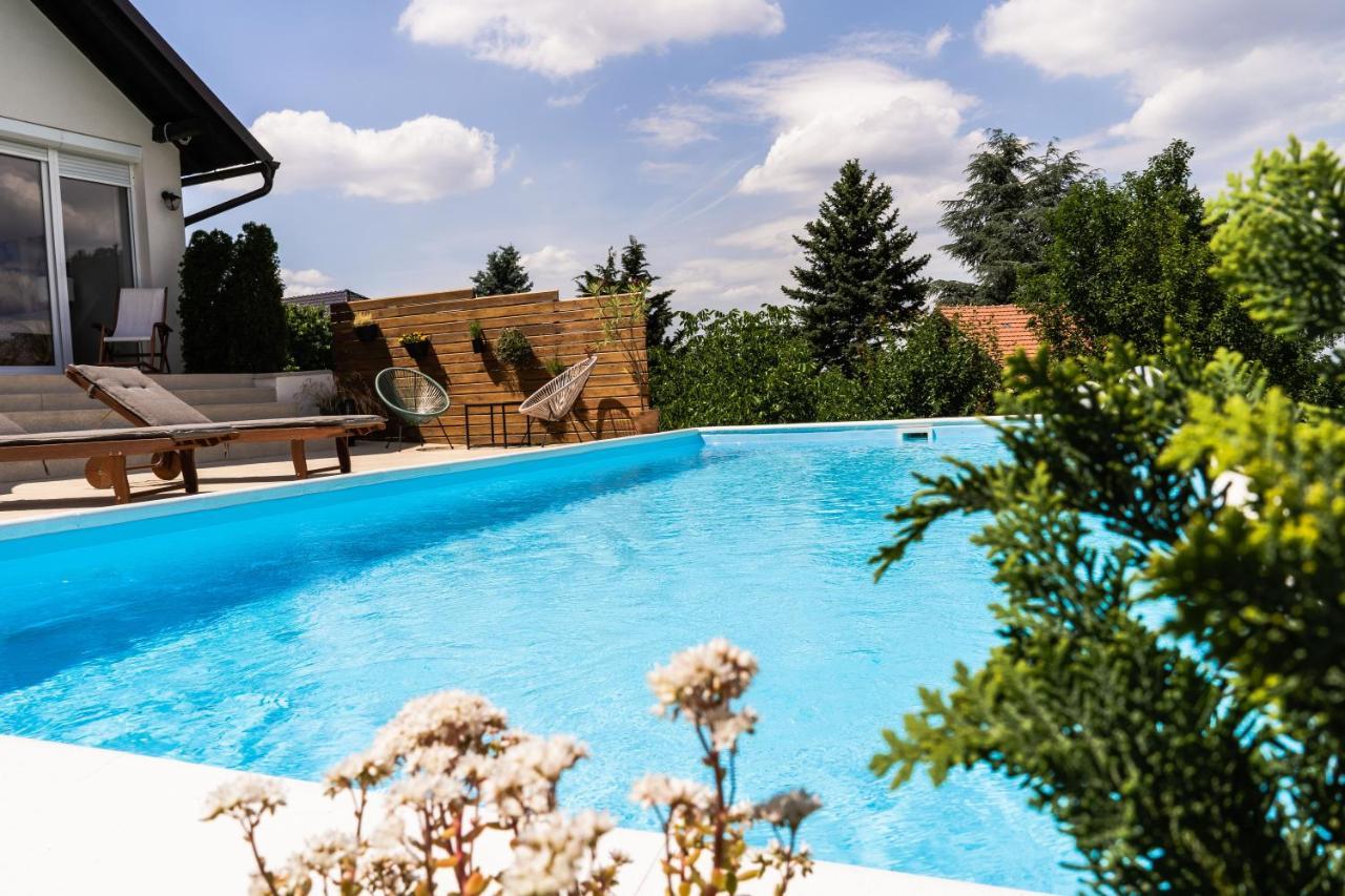 Todor Boutique House Villa Sremska Kamenica Exterior photo